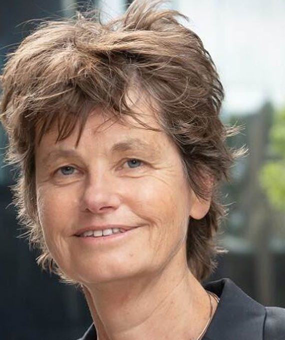 Karien Stronks